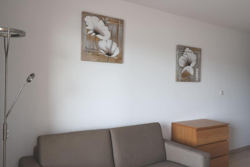 Chez Adrien 108-Appartement Magnifique Vue Mer Piscine Chauffee Серра-ди-Ферро Экстерьер фото